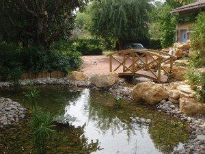 bassin, pont en bois